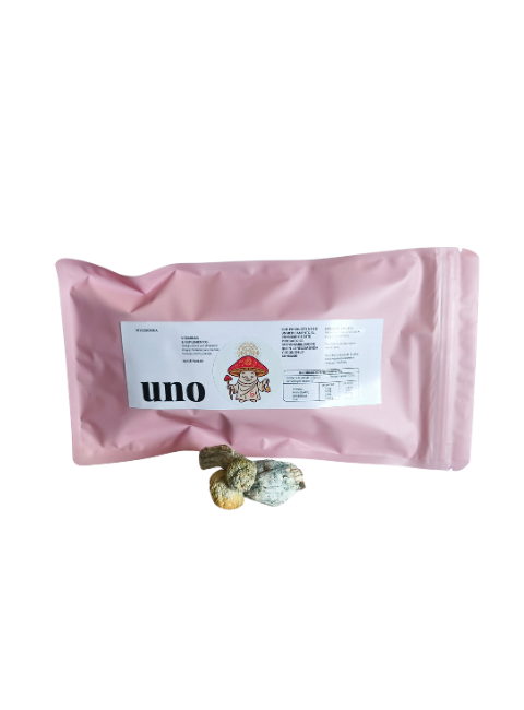 hongosanto (480 x 650 px) (3)